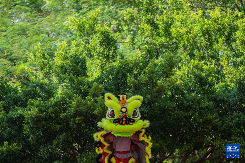 永利集团有限公司介绍图片